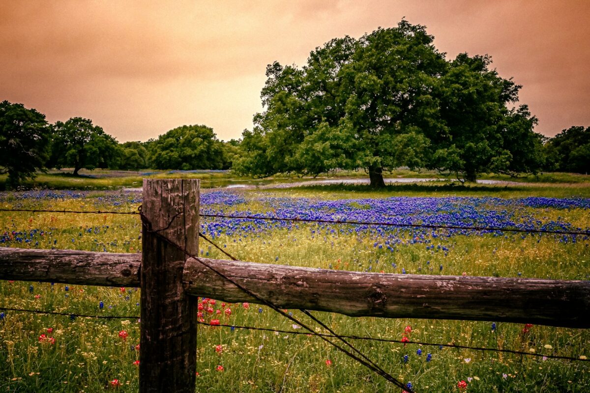 Inpatient Mental Health Facility in Texas