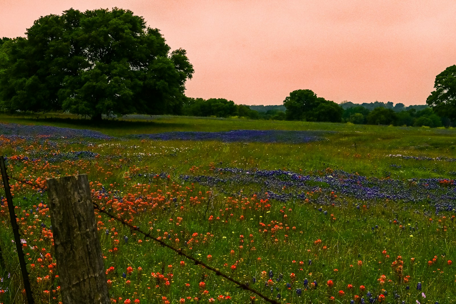 Mental Health Facility in Dallas TX